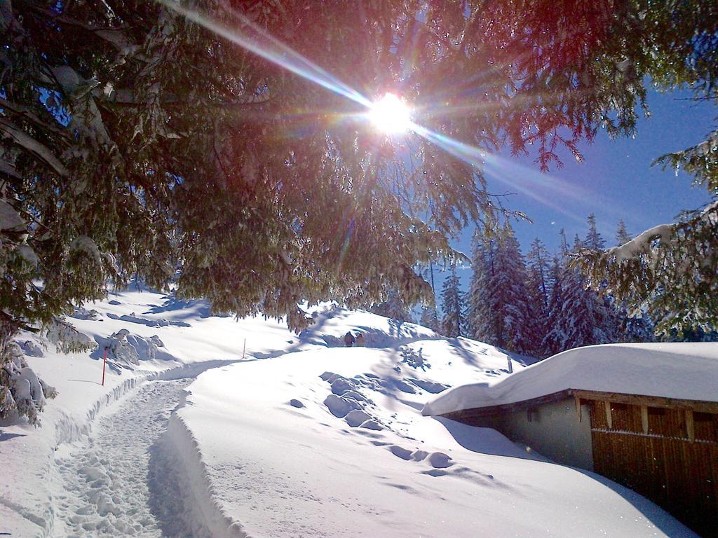 Bergbach Ξενοδοχείο Ramsau bei Berchtesgaden Εξωτερικό φωτογραφία
